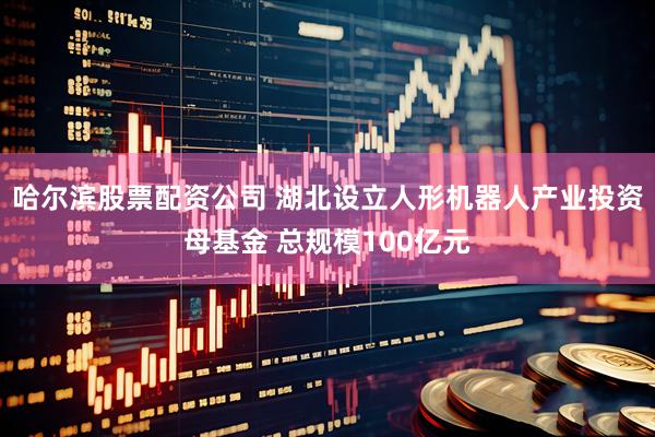 哈尔滨股票配资公司 湖北设立人形机器人产业投资母基金 总规模100亿元